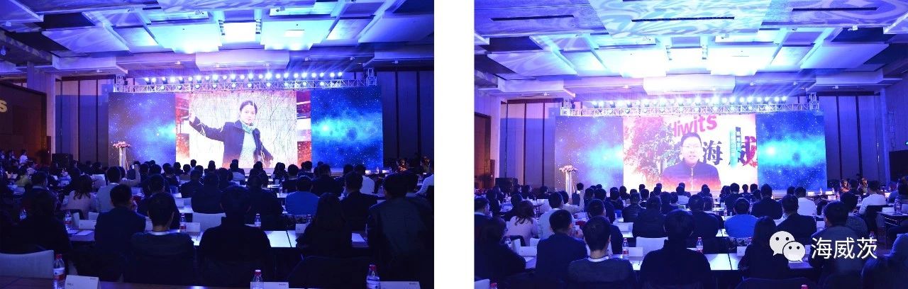 0 (11).jpg 0 (11).jpg